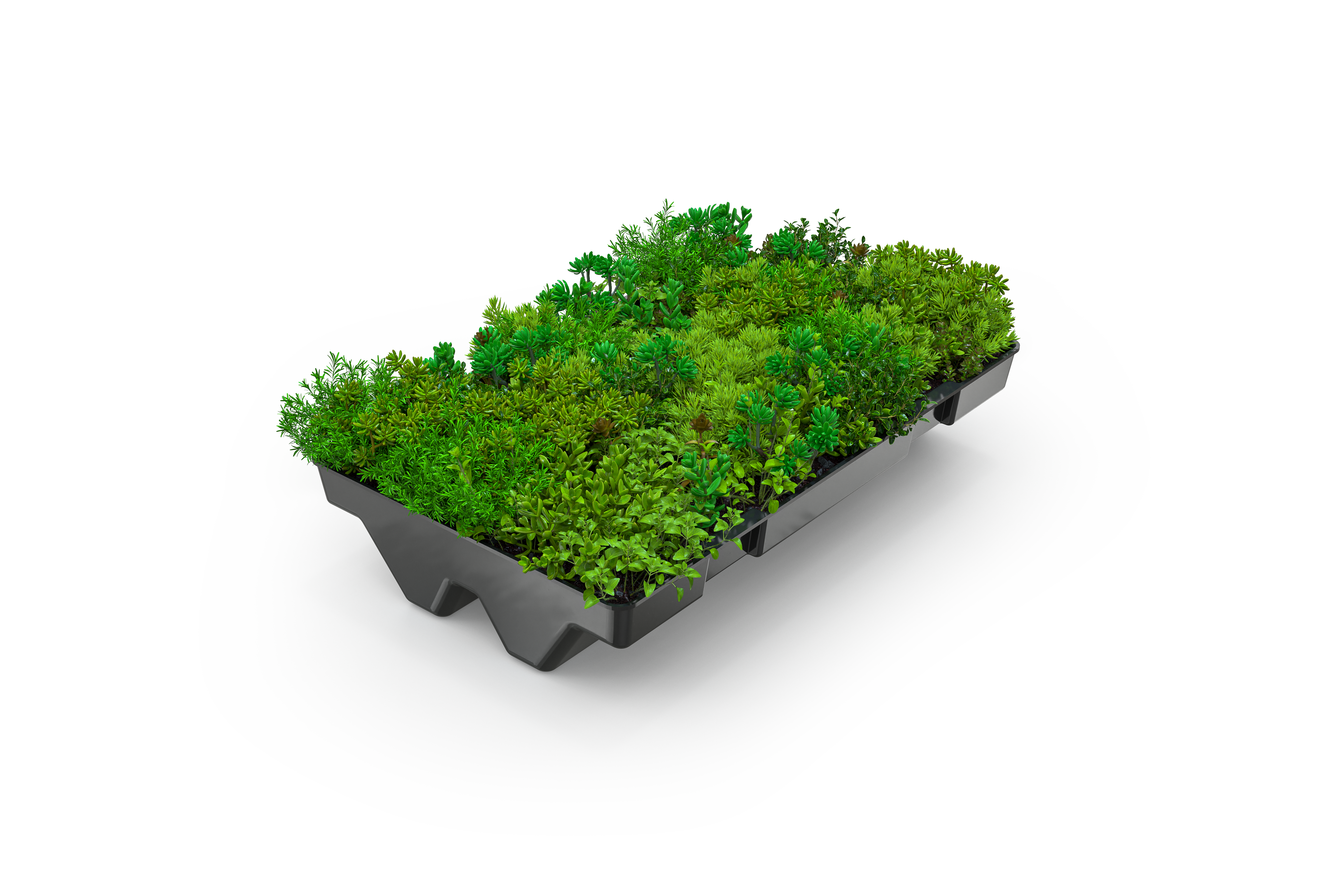 green-plus