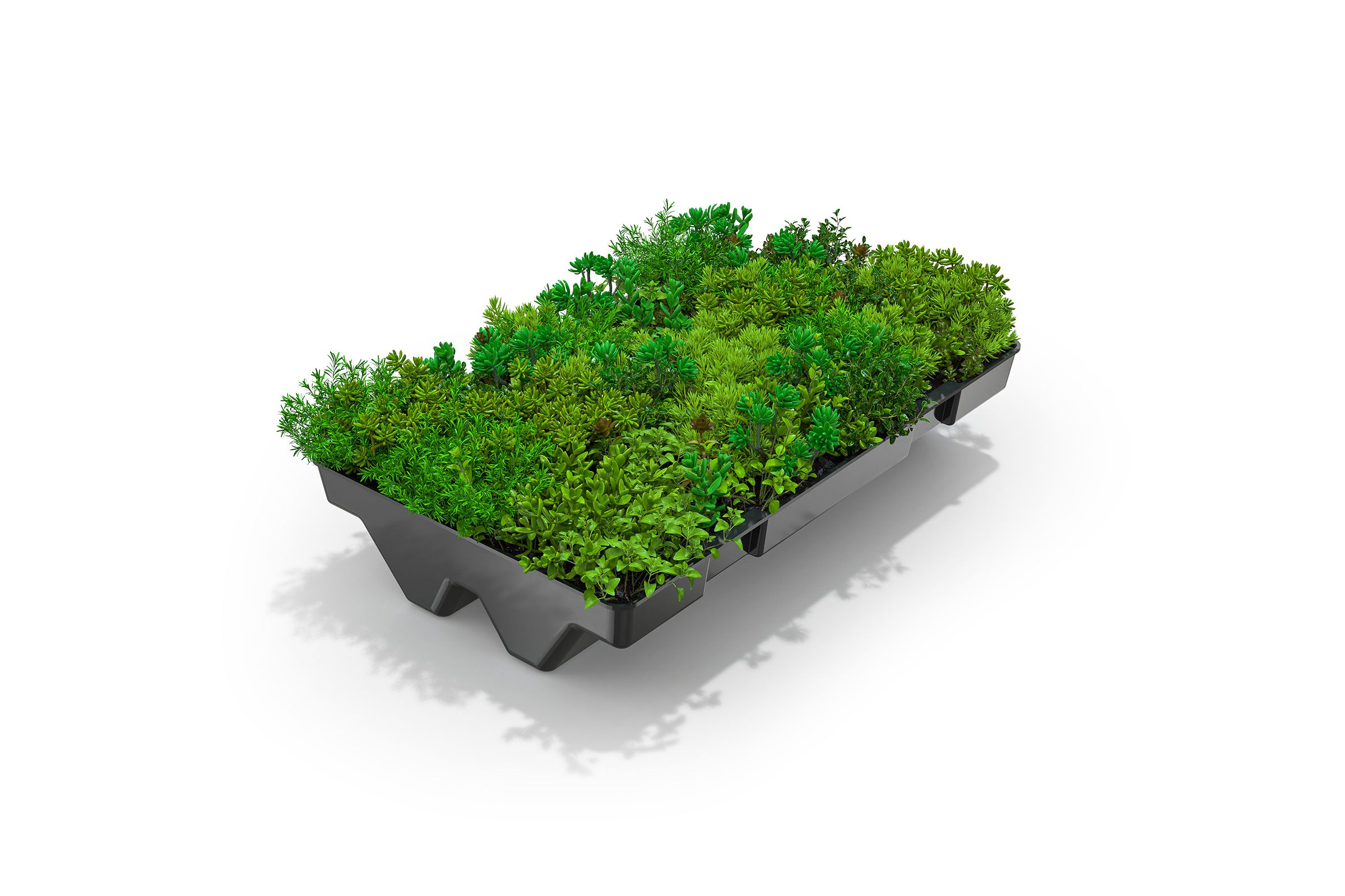 green-plus-400-v02