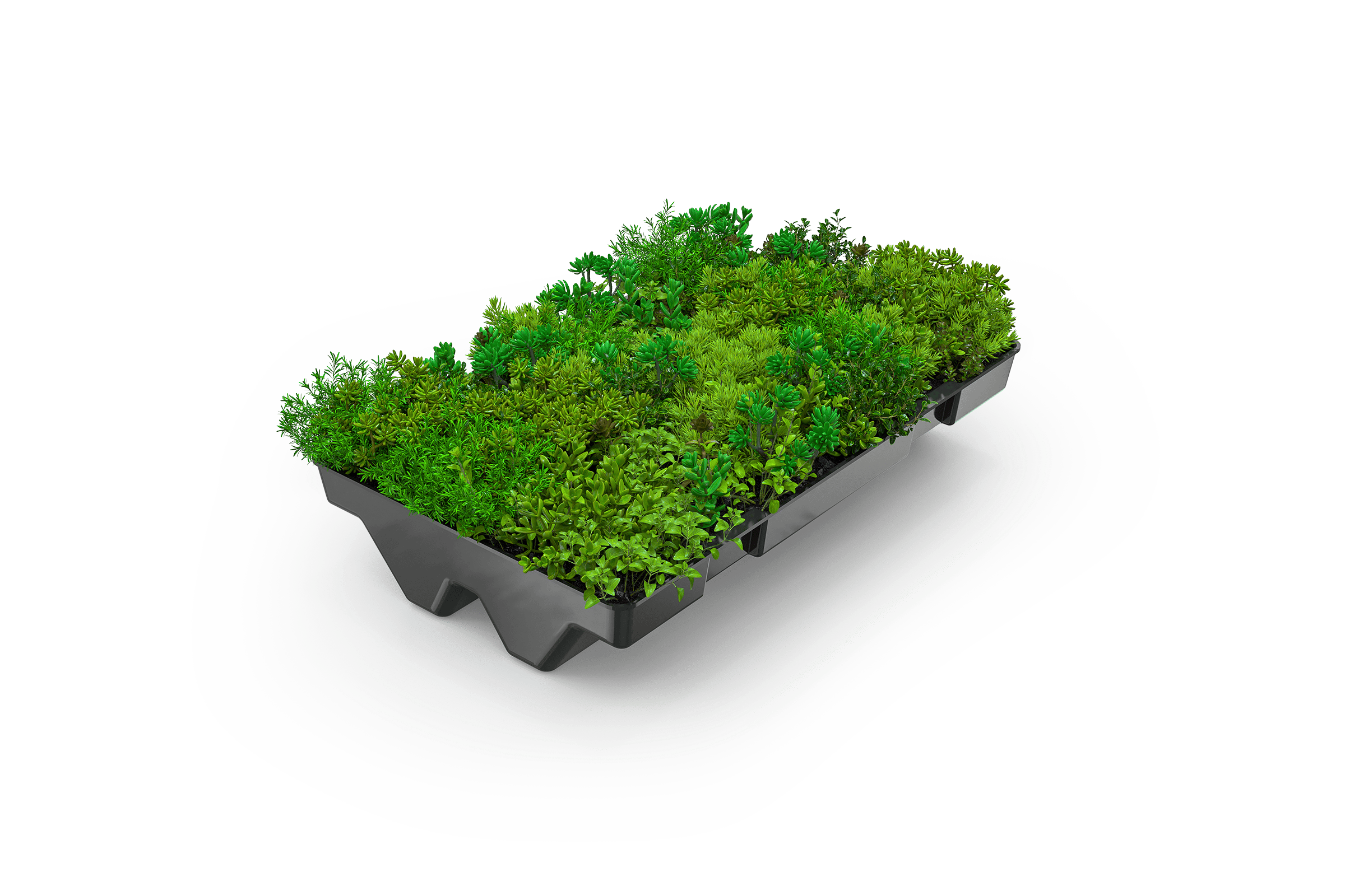 green-plus