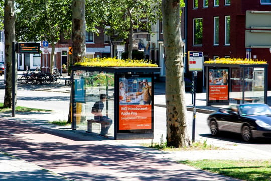 Aufnahme einer begrünten Bushaltestelle in Utrecht